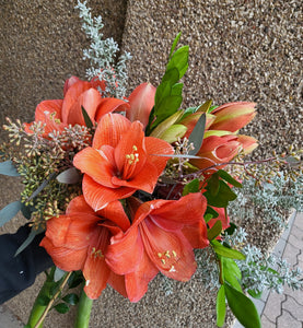 Amaryllis Bouquet (see colour options)